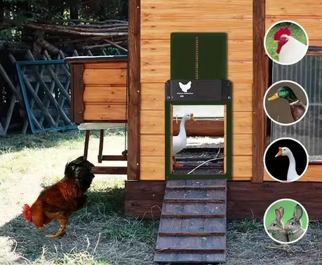 AUTOMATIKUS AJTÓ CSIRKEHÁZHOZ